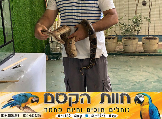 جديد في كفر قاسم - חוות הקסם